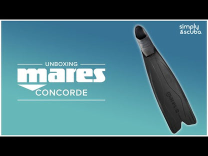 PALMES CONCORDE